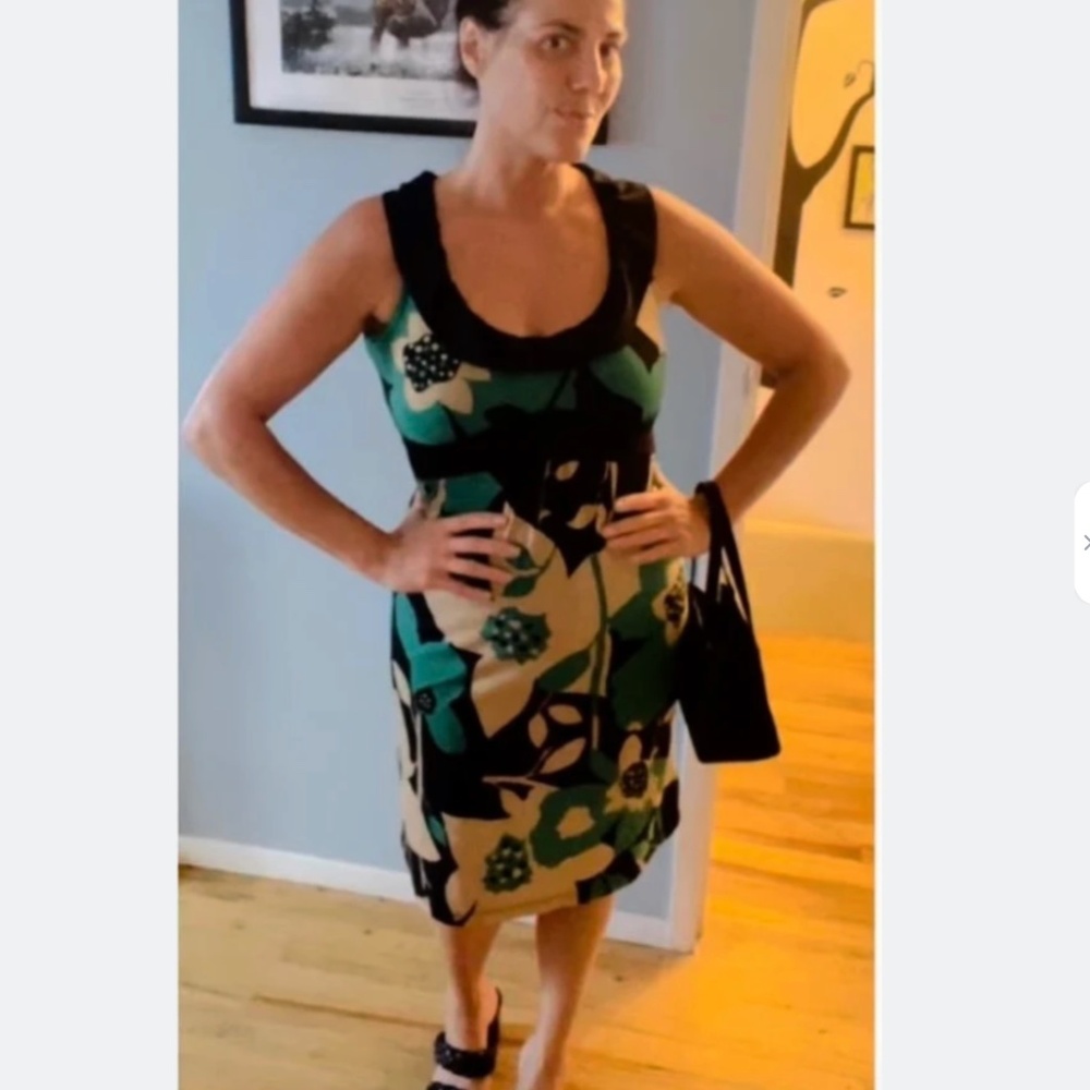 Ruffle Collar Bold Floral Empire Waist Dress